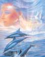 Dolphin/Fantasy